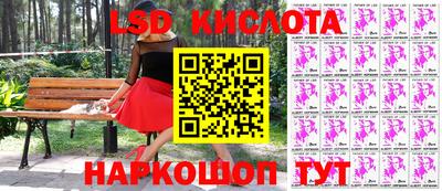 гидропоника Ставрополь