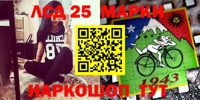 гидропоника Ставрополь