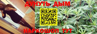 гидропоника Ставрополь