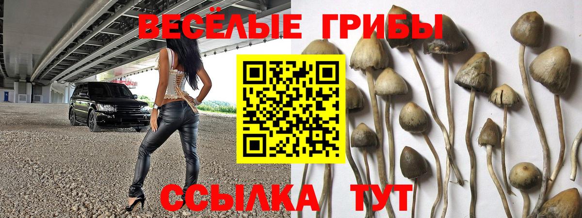 Галлюциногенные грибы MAGIC MUSHROOMS  Вход с VPN  Ногинск 