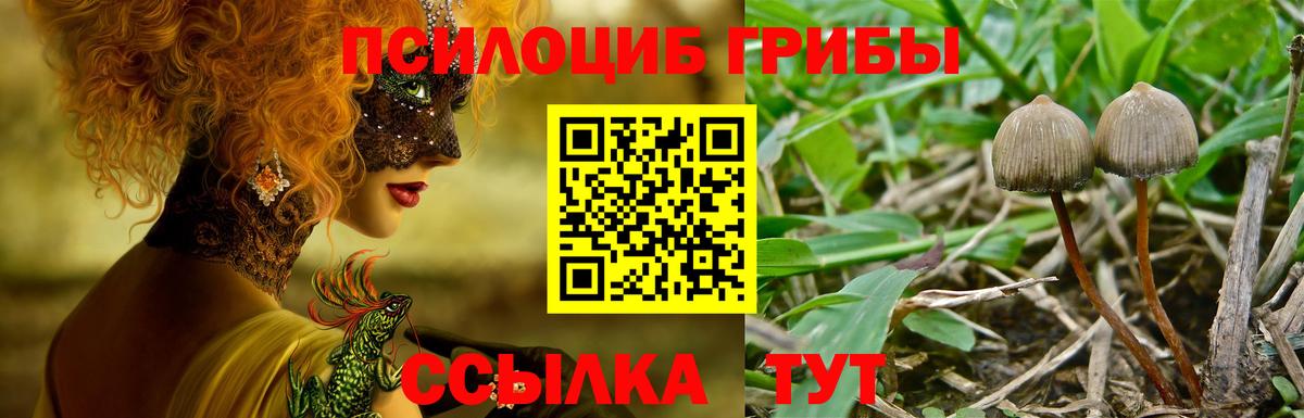 Псилоцибиновые грибы ЛСД Ногинск